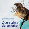 Amarraditos