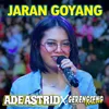 About Jaran Goyang Song