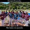 Mix Baila Con Guayaba: El Farolito/Fuiste al Baile/La Machaca