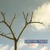 About ט"ו בשבט Song