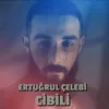 About Cibili Song