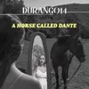 About A Horse Called Dante Song