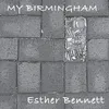 About My Birmingham Song