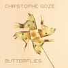 About Butterflies Song