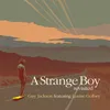 About A Strange Boy Song
