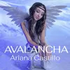 About Avalancha Song