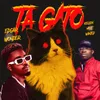 About Ta Gato Song