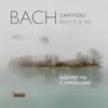 Cantata "Geist und Seele wird verwirret", BWV 35, Prima parte: No. 1. Sinfonia (Concerto)
