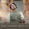 About Tere Charno Mein Ho Song