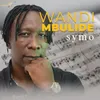 Wandi Mbulide