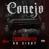 About Terminate on Sight Song