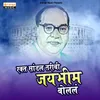 About Rakt Sandla Tari Chalal Taribi Jaibhim Bolal Song