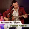 About Ha Babam Ha / Şişeler Song