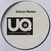 Voices DJ Qu Remix