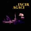 Incir Ağacı