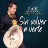 About Sin Volver a Verte Song