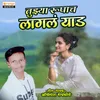 About Tujhya Rupacha Lagala Yad Song