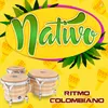 About Ritmo Colombiano Song
