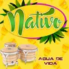 Agua de Vida