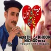 About Mere Dil Da Khoon Nichor Deta Song