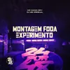 About Montagem Foda, Experimento Song