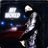 About My World Song