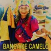 Banca de Camelô