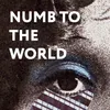About Numb to the World Song
