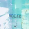 Pulse 12