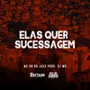 About Elas Quer Sucessagem Song