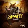 About Zombie Song