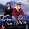 About Reshma Teri Shoo Song