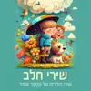 כיפה אדומה