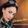 About Kardeşiz Kardeş Song