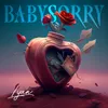 About Baby Sorry Song
