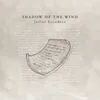 About The Shadow of the Wind Song