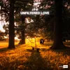 About Unfiltered Love Song