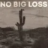 No Big Loss Single