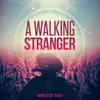 About A Walking Stranger Song