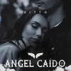 About Ángel Caído Song