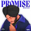 About Promise Song