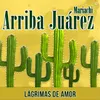 About Lágrimas de Amor Song