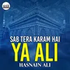 About Sab Tera Karam Hai Ya Ali Song