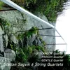 String Quartet #1: Pt. 1