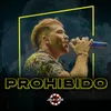 About Prohibido Song