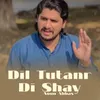 Dil Tutanr Di Shay