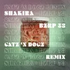 About Shakira - Bzrp 53 (Catz 'N Dogz Remix) Song