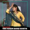 About Teri Nagin Bargi Kaniya Song