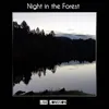 Night in the Forest Solo Piano Version