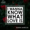 About I Wanna Know What Love Is Song